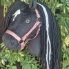 Hobby Horse wie Ostwind Stallhalfter