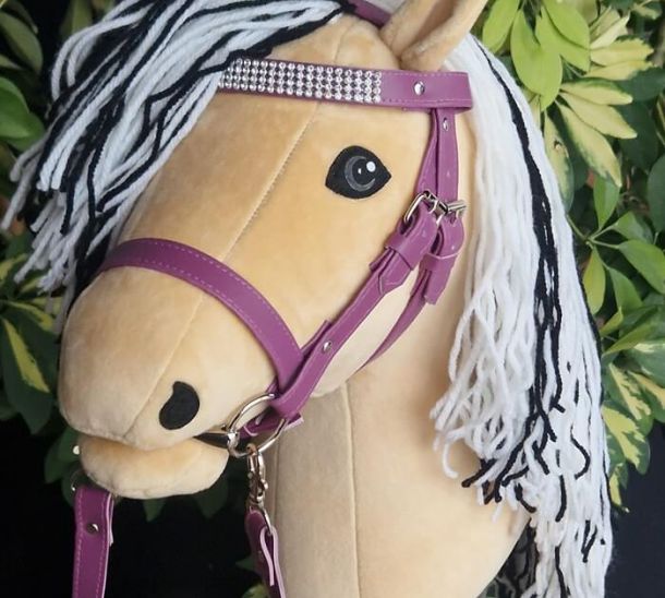 Hobby Horse Fjordpferd
