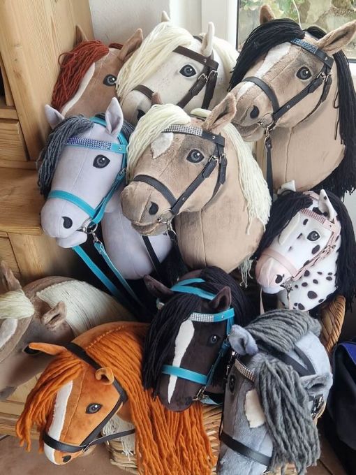 Hobby Horses Gruppenbild