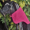 Hobby Horse mit Decke