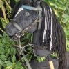 Hobby Horse Schwarzer mit Martingal
