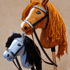 Hobby Horse