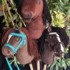Hobby Horses brauntöne