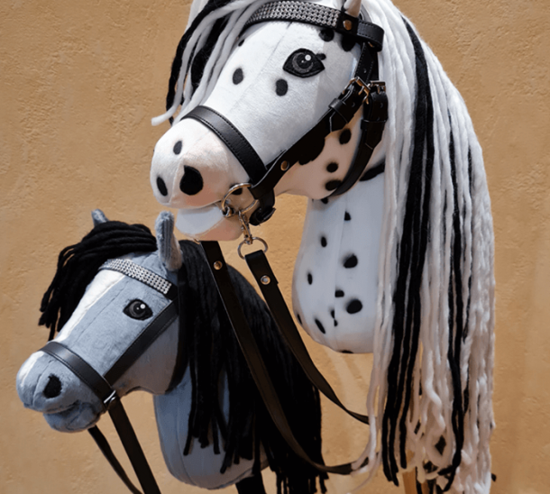 Hobby Horse