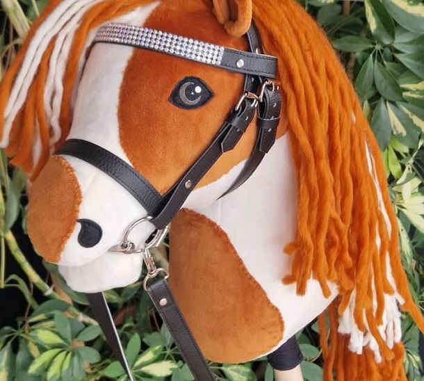 Hobby Horse