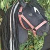 Hobby Horse wie Ostwind Stallhalfter