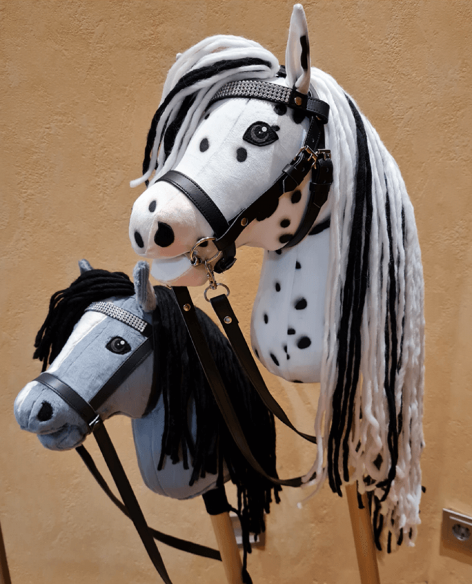 Hobby Horse