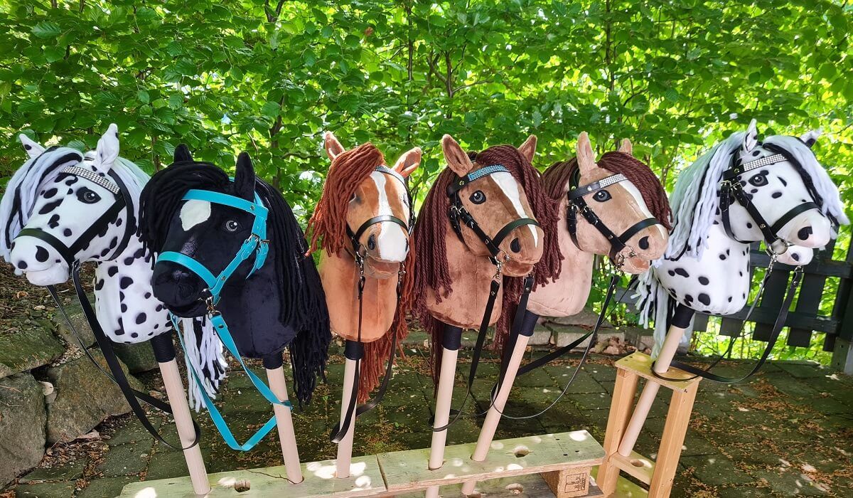 Verschiedenen Hobby Horses in unterschiedlichen Farben