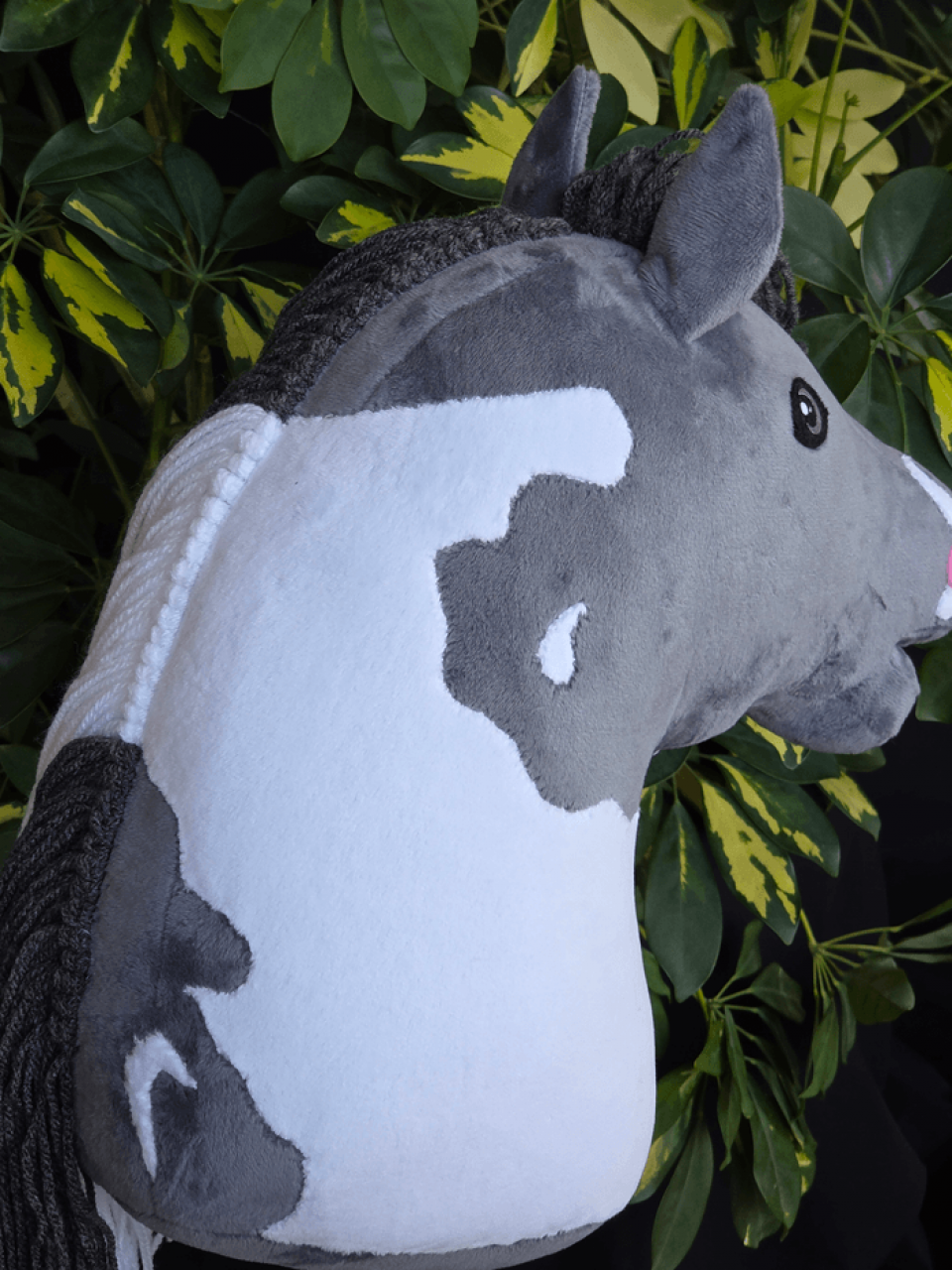 Hobby Horse Grauschecke