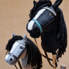 Hobby Horse