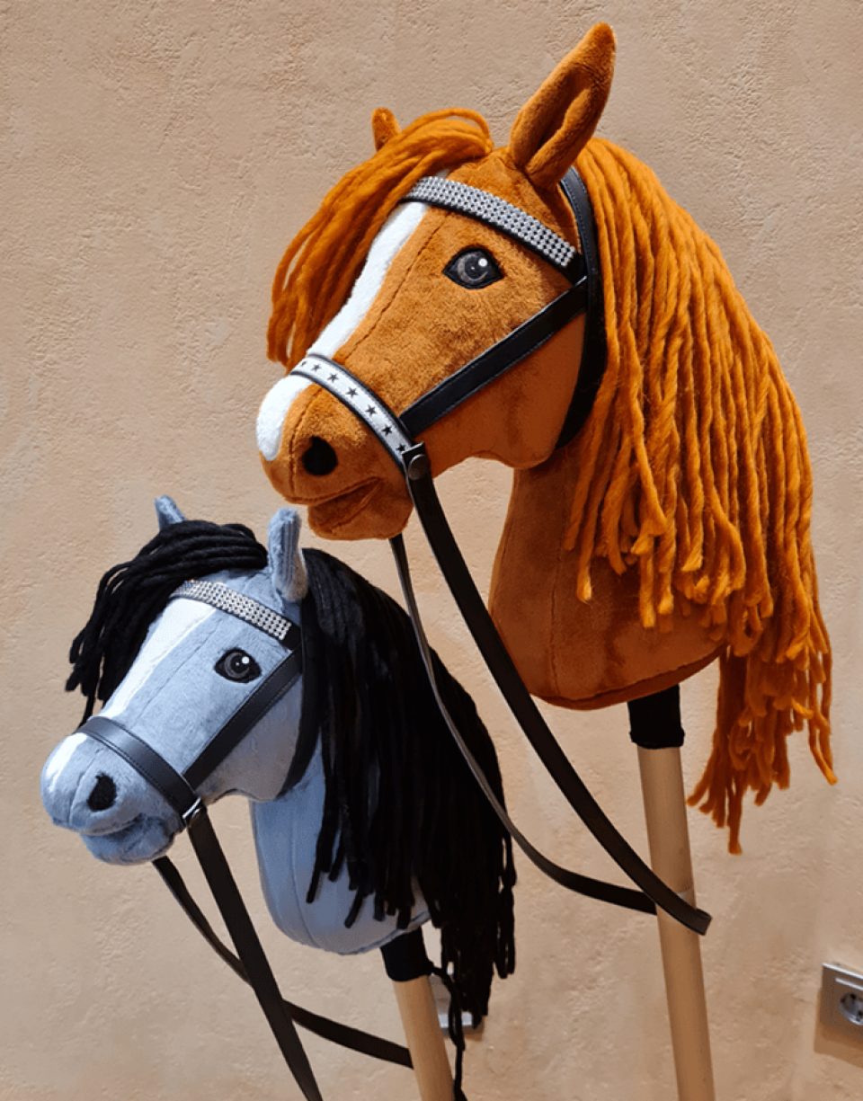 Hobby Horse
